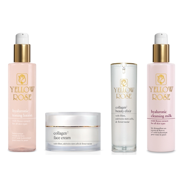 COLLAGEN2