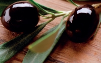 OLIVE & HERBS TREATMENT